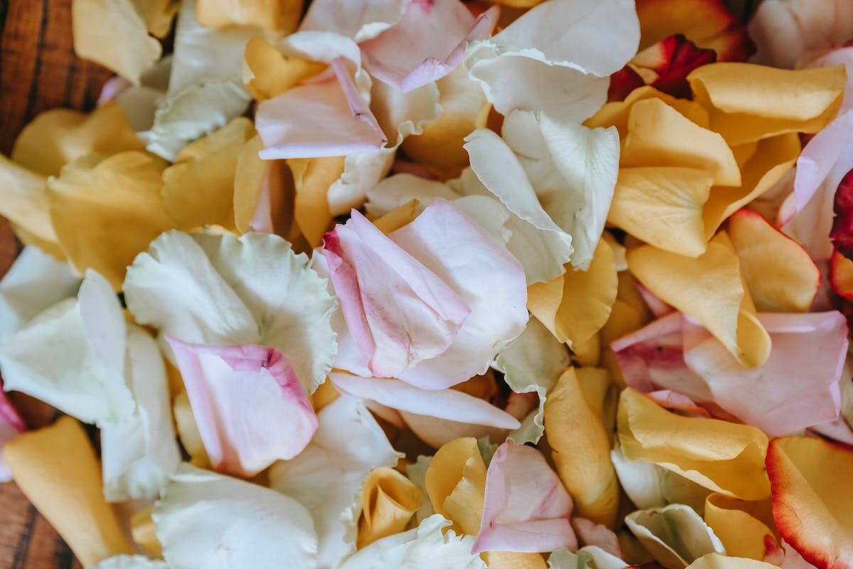 Background of assorted tender rose petals with pleasant aroma